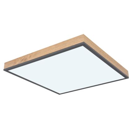 Globo - Димируемо LED таванно осветително тяло LED/24W/230V 3000-6500K 45x45 cm