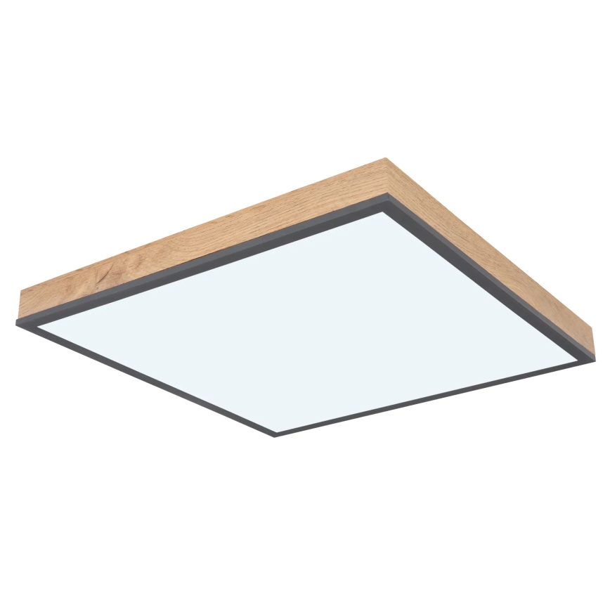 Globo - Димируемо LED таванно осветително тяло LED/24W/230V 3000-6500K 45x45 cm