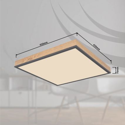 Globo - Димируемо LED таванно осветително тяло LED/24W/230V 3000-6500K 45x45 cm