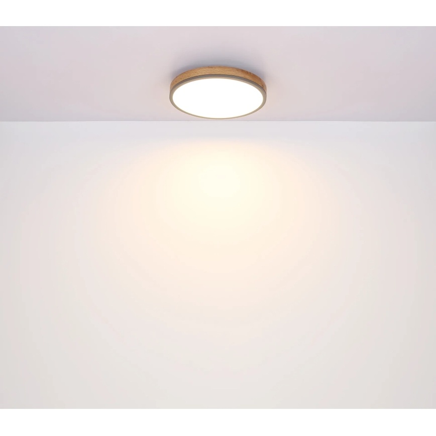 Globo - Димируемо LED таванно осветително тяло LED/24W/230V 2700-6500K Ø 45 см
