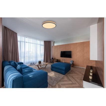 Globo - Таванно LED осветително тяло с възможност за димиране LED/24W/230V 3000-6500K Ø 45 см