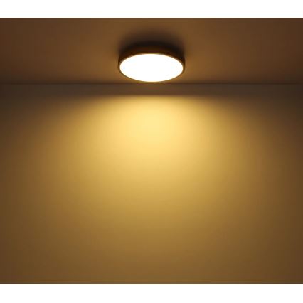 Globo - Таванно LED осветително тяло с възможност за димиране LED/24W/230V 3000-6500K Ø 45 см