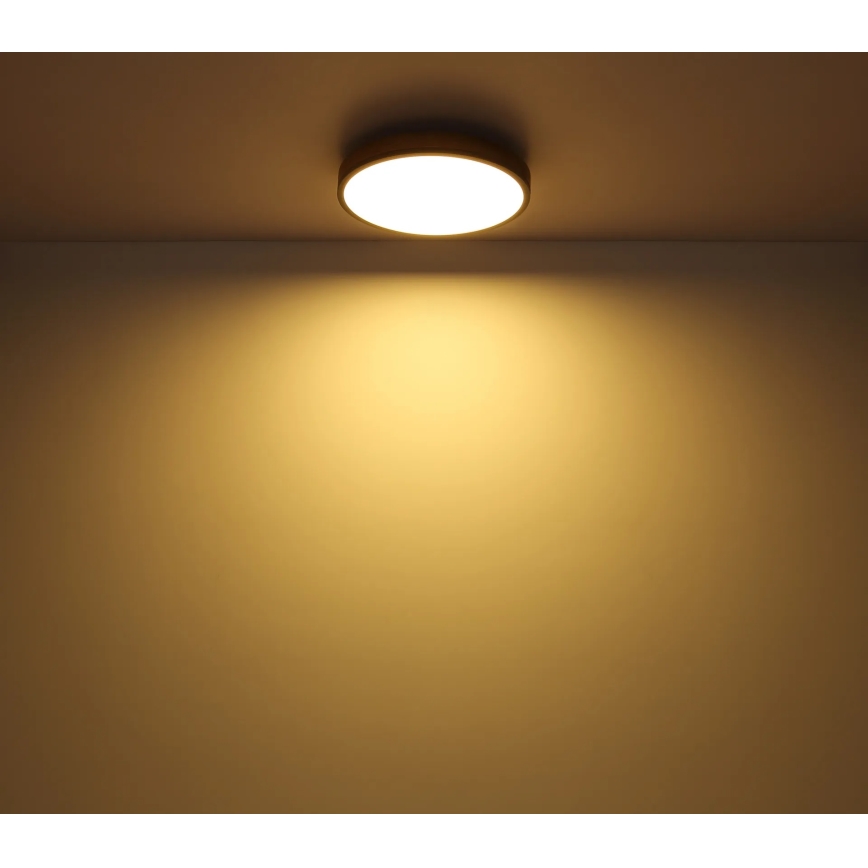 Globo - Таванно LED осветително тяло с възможност за димиране LED/24W/230V 3000-6500K Ø 45 см