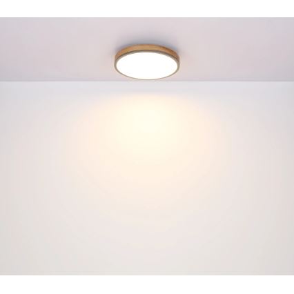 Globo - Таванно LED осветително тяло с възможност за димиране LED/24W/230V 3000-6500K Ø 45 см