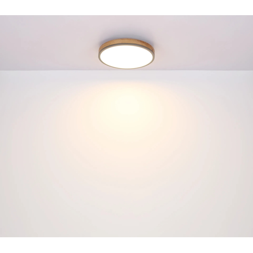 Globo - Таванно LED осветително тяло с възможност за димиране LED/24W/230V 3000-6500K Ø 45 см