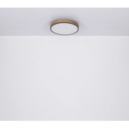 Globo - Таванно LED осветително тяло с възможност за димиране LED/24W/230V 3000-6500K Ø 45 см