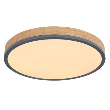 Globo - Таванно LED осветително тяло с възможност за димиране LED/24W/230V 3000-6500K Ø 45 см
