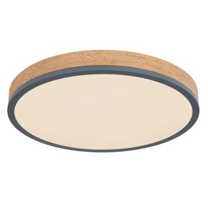 Globo - Таванно LED осветително тяло с възможност за димиране LED/24W/230V 3000-6500K Ø 45 см