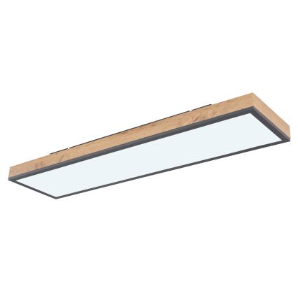 Globo - LED Димируем плафон LED/24W/230V 2700-6500K + дистанционно управление
