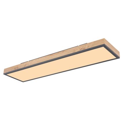Globo - LED Димируем плафон LED/24W/230V 2700-6500K + дистанционно управление