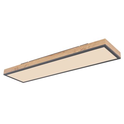 Globo - LED Димируем плафон LED/24W/230V 2700-6500K + дистанционно управление