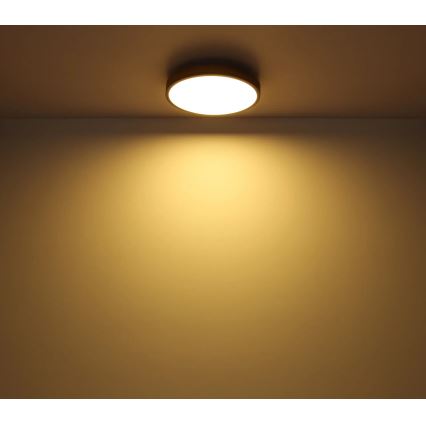 Globo - LED Димируем плафон LED/40W/230V 2700-6500K Ø 60 см + дистанционно управление кафяв/сив