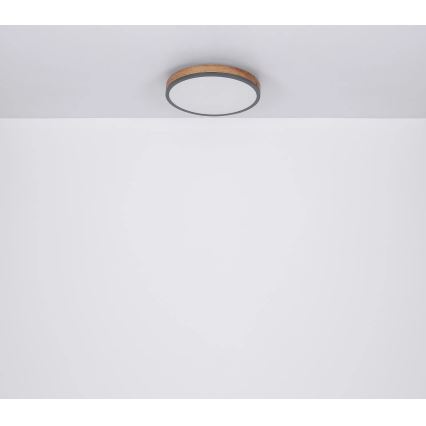 Globo - LED Димируем плафон LED/40W/230V 2700-6500K Ø 60 см + дистанционно управление кафяв/сив