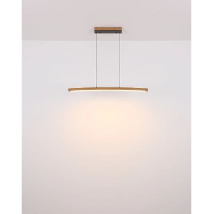 Globo - LED Димируем сензорен полилей на кабел LED/18W/230V 3000K