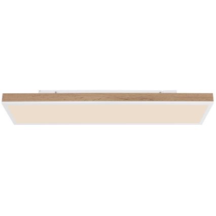 Globo - димируемо LED таванно осветително тяло LED/24W/230V 2700-6500K 20x80 cm + дистанционно управление