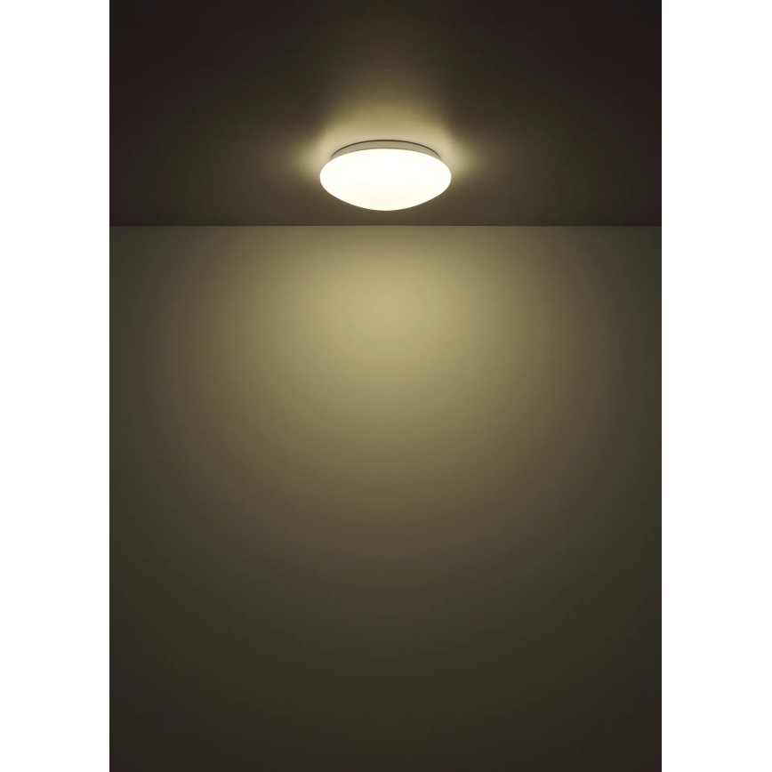 Globo - LED таванно осветително тяло LED/12W/230V 4000K Ø 25,4 см