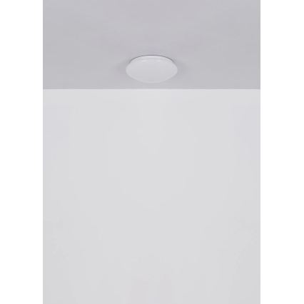 Globo - LED таванно осветително тяло LED/12W/230V 4000K Ø 25,4 см