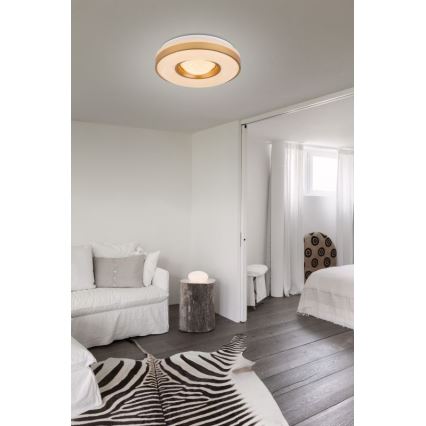 Globo - LED Плафониера LED/24W/230V