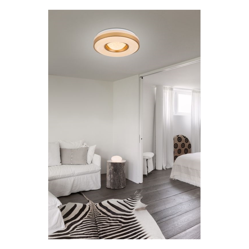 Globo - LED Плафониера LED/24W/230V