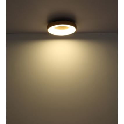 Globo - LED Димируем плафон LED/30W/230V + дистанционно управление