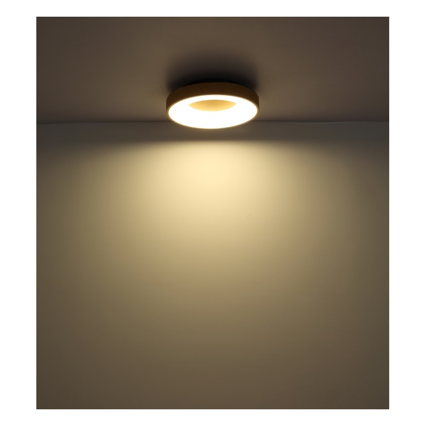 Globo - LED Димируем плафон LED/30W/230V + дистанционно управление