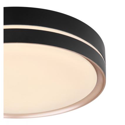 Globo - LED Димируем плафон LED/24W/230V + дистанционно управление