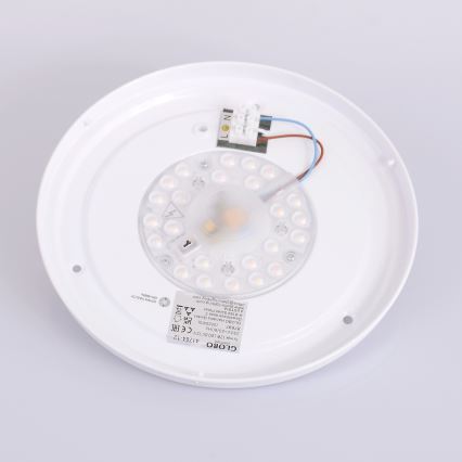Globo - LED Плафон LED/12W/230V 307 мм 3000/4500/6000K