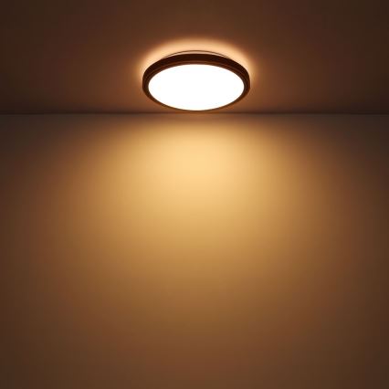 Globo - LED Плафон LED/12W/230V 307 мм 3000/4500/6000K