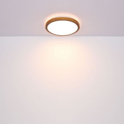Globo - LED Плафон LED/12W/230V 307 мм 3000/4500/6000K