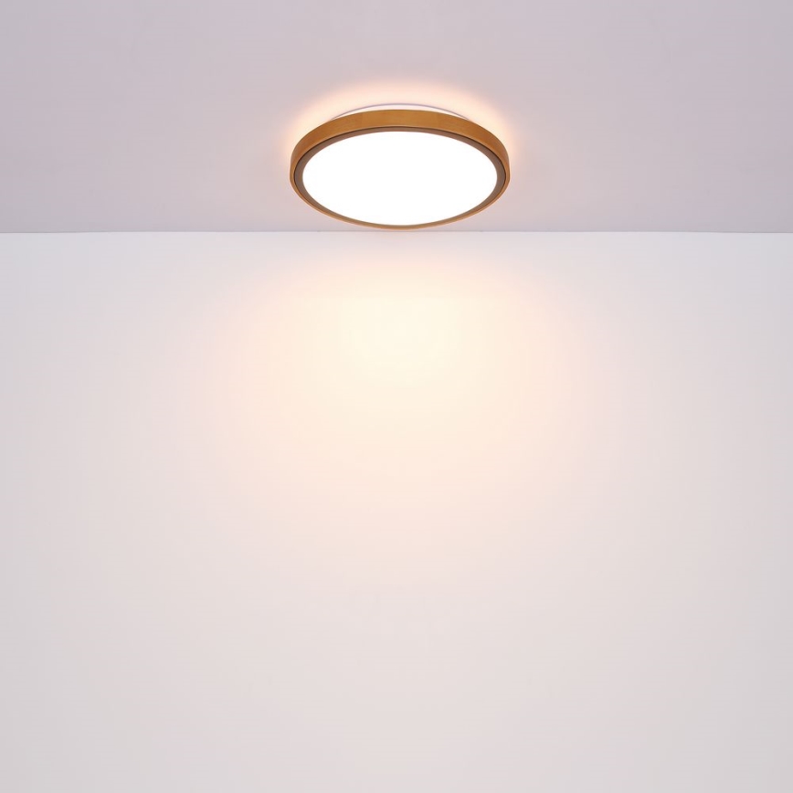 Globo - LED Плафон LED/12W/230V 307 мм 3000/4500/6000K