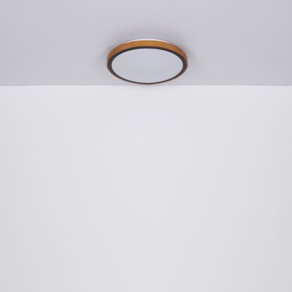 Globo - LED Плафон LED/12W/230V 307 мм 3000/4500/6000K