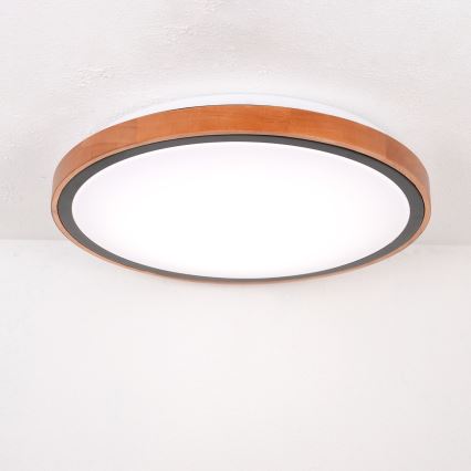 Globo - LED Плафониера LED/24W/230V 3000/4500/6000K Ø 43,7 см