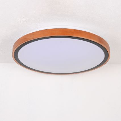 Globo - LED Плафониера LED/24W/230V 3000/4500/6000K Ø 43,7 см