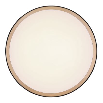 Globo - LED лампа за таван LED/12W/230V 3000/4500/6000K Ø 30 см