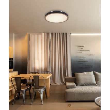 Globo - LED Плафониера LED/24W/230V 3000/4500/6000K Ø 42 см
