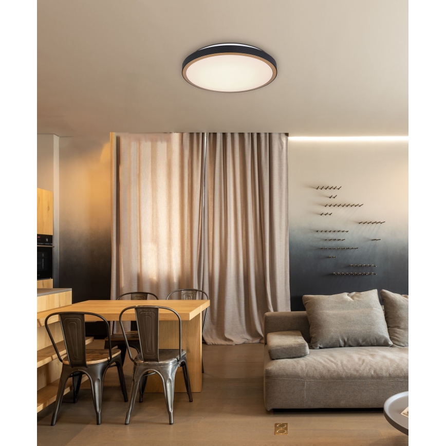 Globo - LED Плафониера LED/24W/230V 3000/4500/6000K Ø 42 см