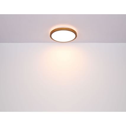 Globo - LED Плафониера LED/12W/230V 3000/4500/6000K Ø 30 см