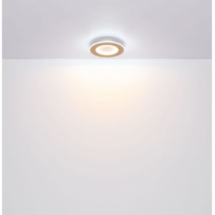 Globo - LED Плафониера LED/23W/230V 2700/6500K