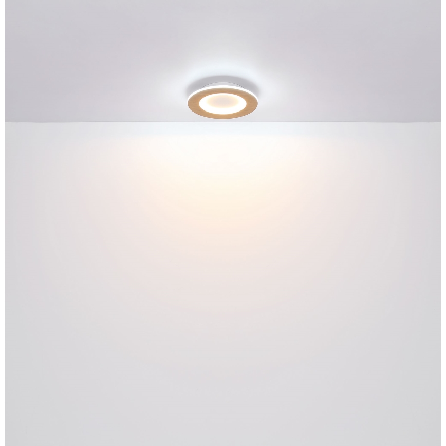 Globo - LED Плафониера LED/23W/230V 2700/6500K