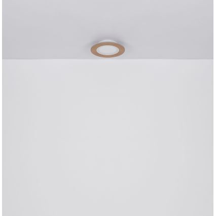 Globo - LED Плафониера LED/23W/230V 2700/6500K