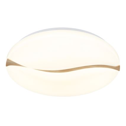Globo - LED Плафониера LED/24W/230V 3000/4200/6000K Ø 33 см