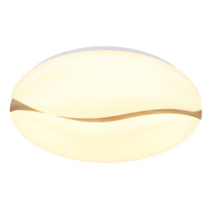 Globo - LED Плафониера LED/24W/230V 3000/4200/6000K Ø 33 см