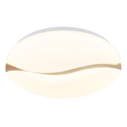 Globo - LED Плафониера LED/24W/230V 3000/4200/6000K Ø 39 см