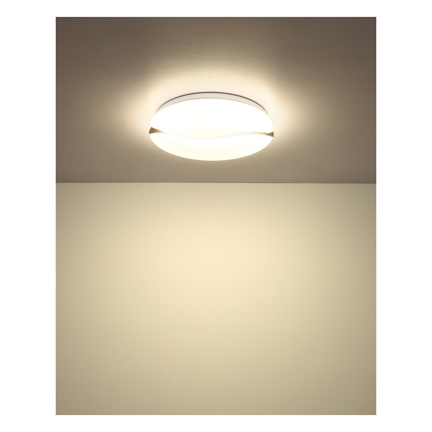 Globo - LED таванно осветително тяло LED/24W/230V 3000/4200/6000K диаметър 39 см