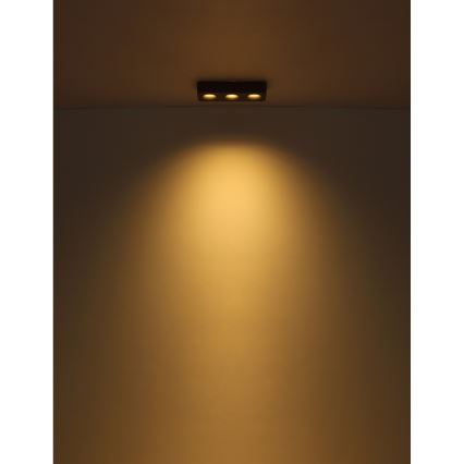 Globo - LED Плафониера LED/14W/230V 11,7x33,2 см