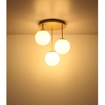 Globo - Плафонен полилей 3xE14/25W/230V месинг