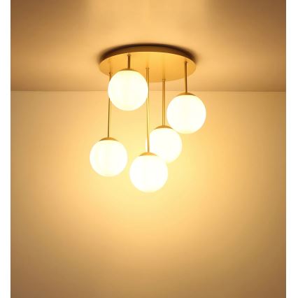 Globo - Прикрепен полилей 5xE14/25W/230V, месинг
