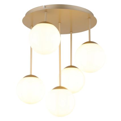 Globo - Прикрепен полилей 5xE14/25W/230V, месинг