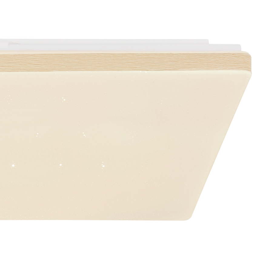Globo - Димируемо таванно LED осветително тяло LED/24W/230V Wi-Fi Tuya + дистанционно управление