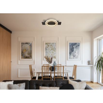 Globo - LED Плафониера LED/18W/230V 3000K 29x44 см